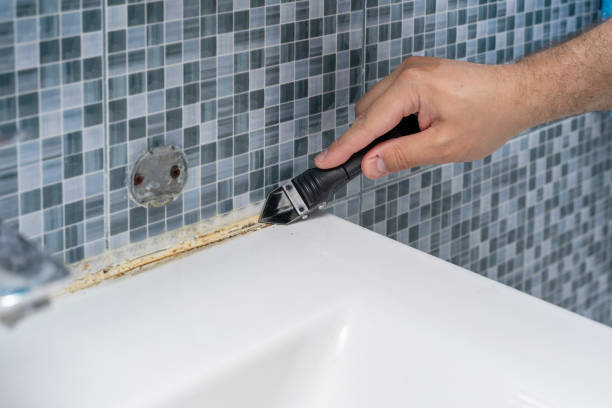 Best White Mold Remediation in Manila, AR